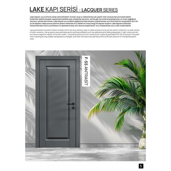 F-55 ANTRASİT LAKE İÇ KAPI